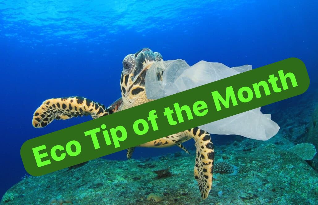 If we continue to use and dispose of plastic at current rate, there will be more plastic than fish in the sea by 2050.  Please carry a reusable bag for your shopping. Keep bags in the car for groceries. Recycle soft plastics in supermarkets or in our special bin at school! ♻️