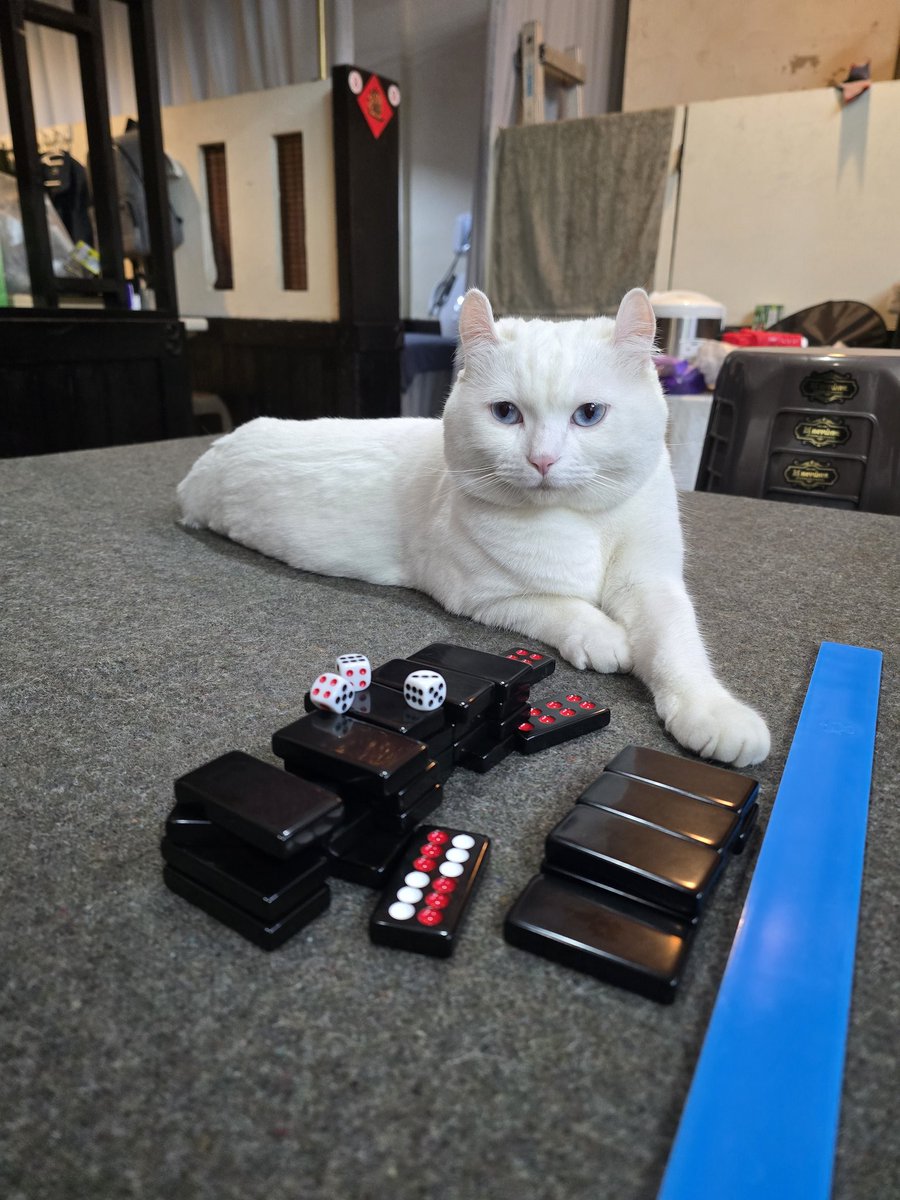 人生沒有後悔藥
自己選的路自己扛
#劣根性