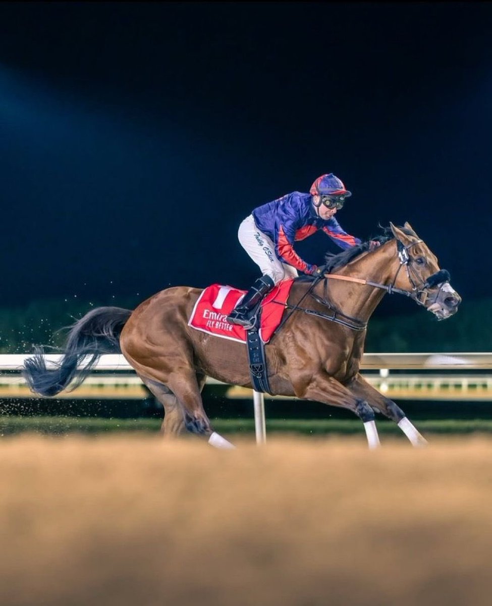 We’re thrilled to announce that 12-time UAE Champion Jockey, Tadhg O’Shea, has chosen to ride Imperial Emperor in the Dubai World Cup!

#DevaRacing #DubaiWorldCup
