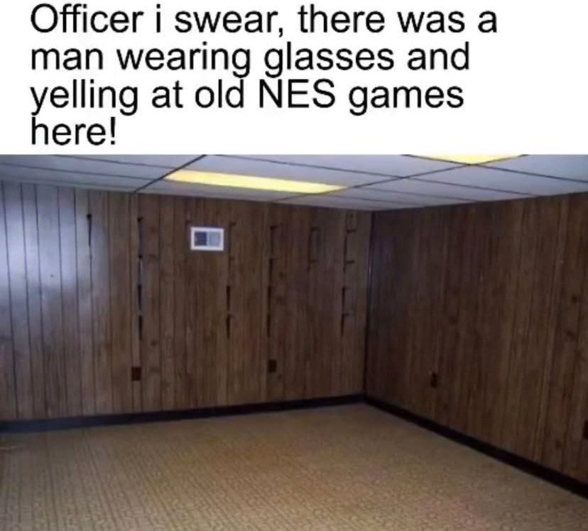 Perfectly Cut AVGN Moments (@perfectcutavgn) on Twitter photo 