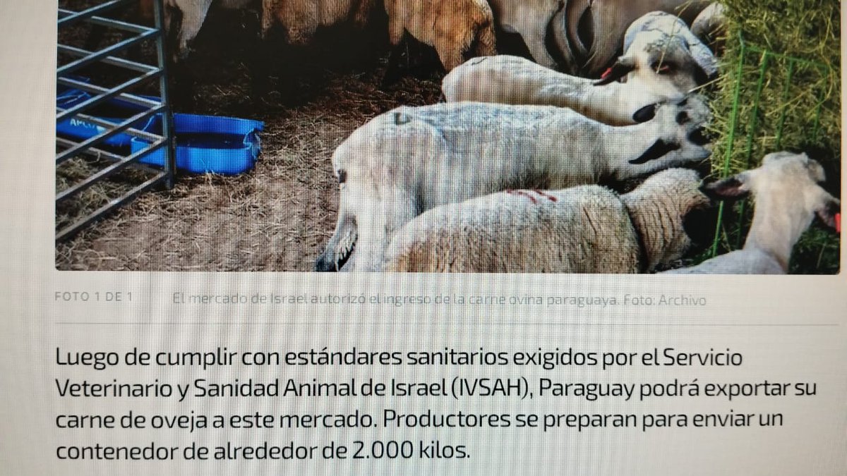 delgado_hi39071's tweet image. #HcSystem 
         #GestiónCartes 
#LiderazgoQuéTrasciendeFronteras
     Buuenaass tardeees.