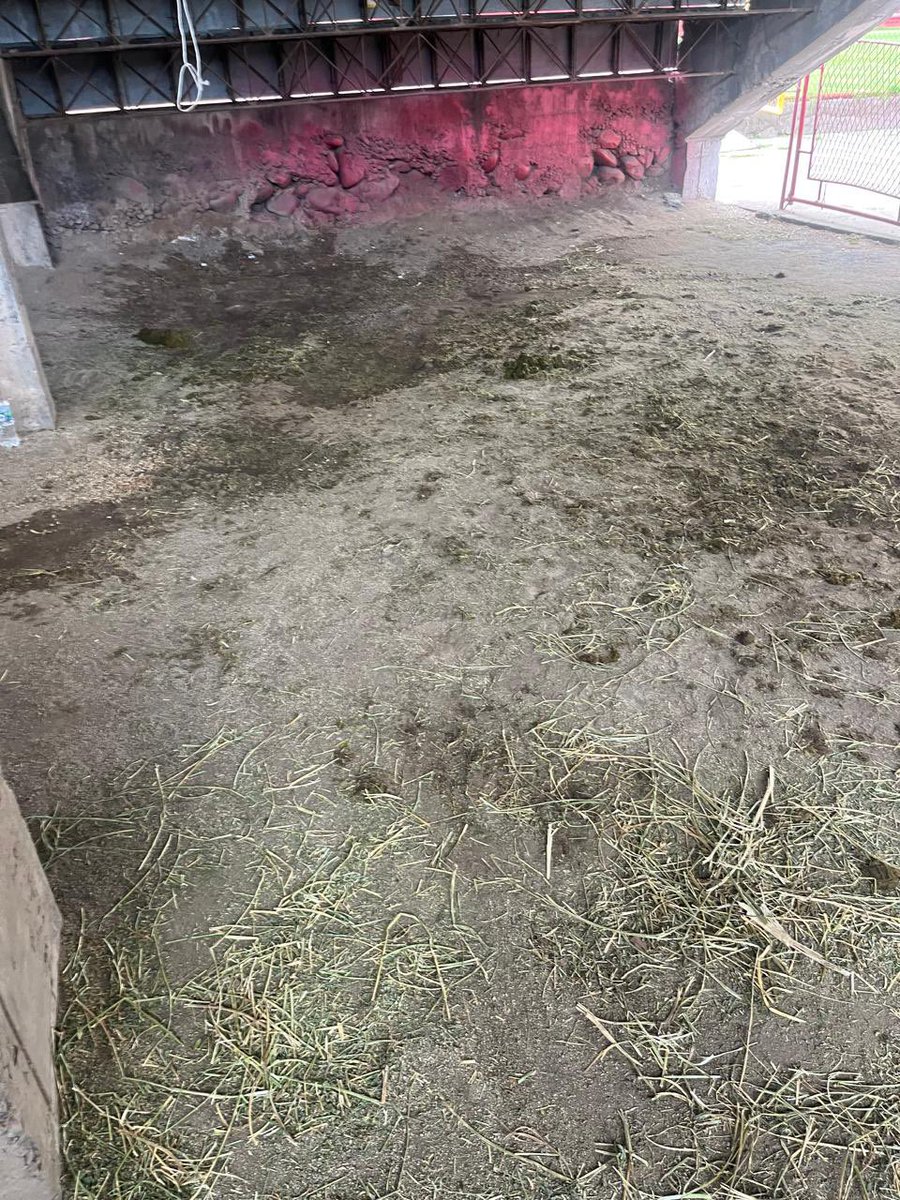 raulfutbol27's tweet image. Enorme agradecimiento a la Sra.  Alcaldesa de @munisanfelipe por autorizar festivales que rompan el campo de juego. A usted no le interesan los hinchas, el club, los jugadores y nada que tenga que ver con un partido de fútbol. Es una falta de respeto. Inaceptable.