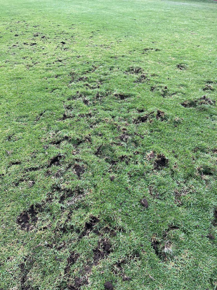 raulfutbol27's tweet image. Enorme agradecimiento a la Sra.  Alcaldesa de @munisanfelipe por autorizar festivales que rompan el campo de juego. A usted no le interesan los hinchas, el club, los jugadores y nada que tenga que ver con un partido de fútbol. Es una falta de respeto. Inaceptable.