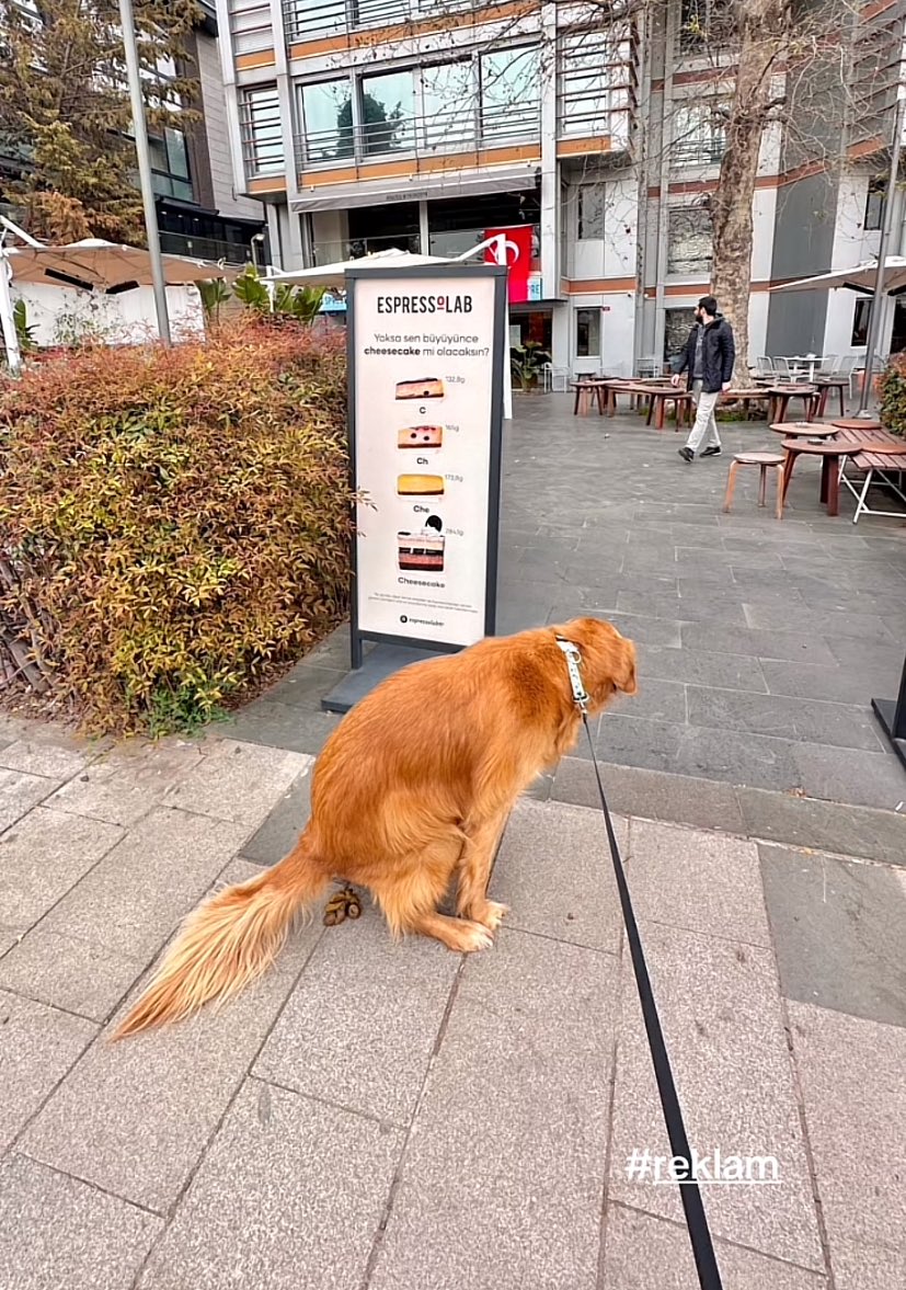 maşallah bu köpeğe ❤️🌹