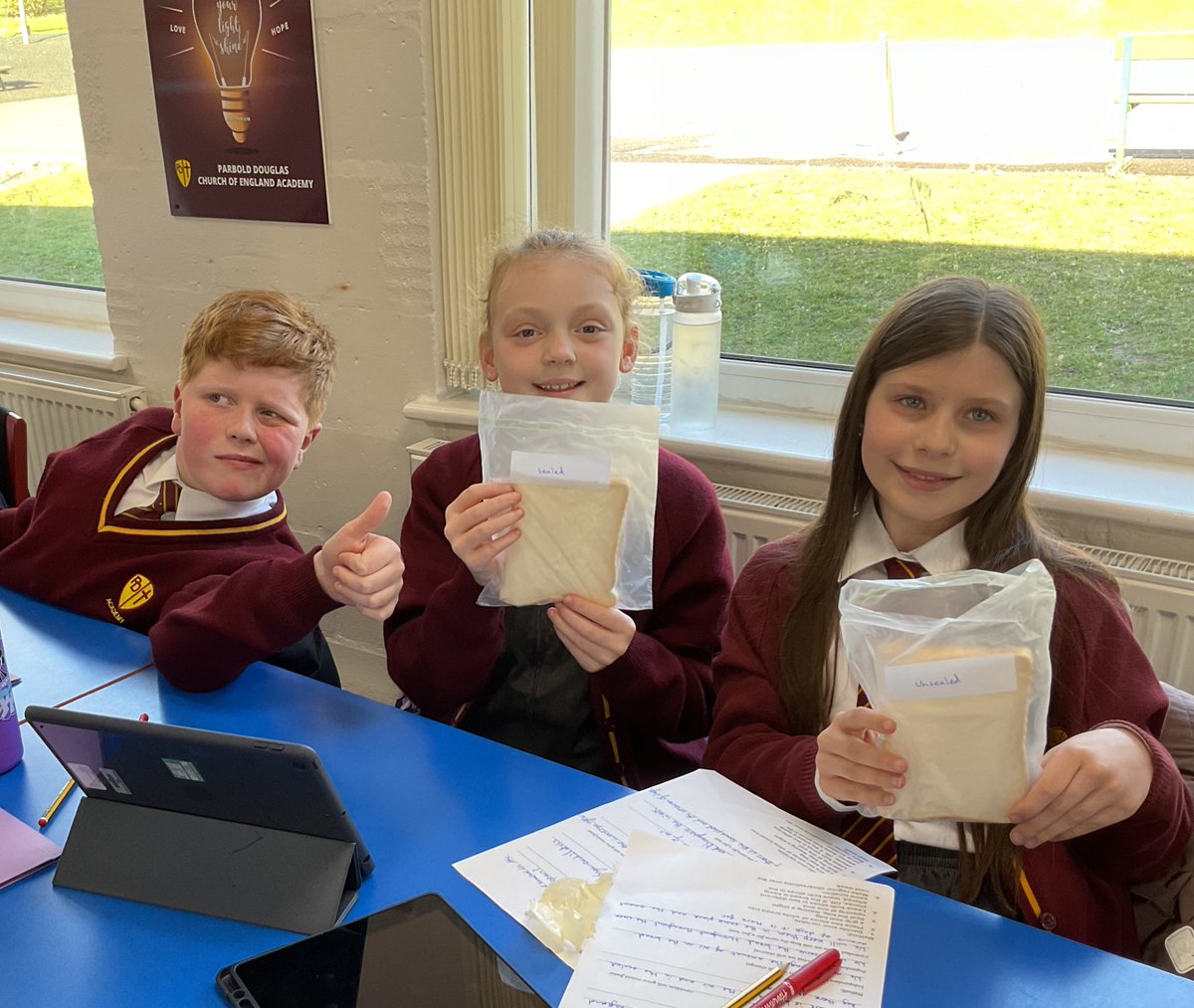 PDA_Y6's tweet image. We planned our own experiment to investigate the impact of different conditions on mould growth. We have bagged up bread in various locations around our school and eagerly examine it for mould growth daily! #pdascience