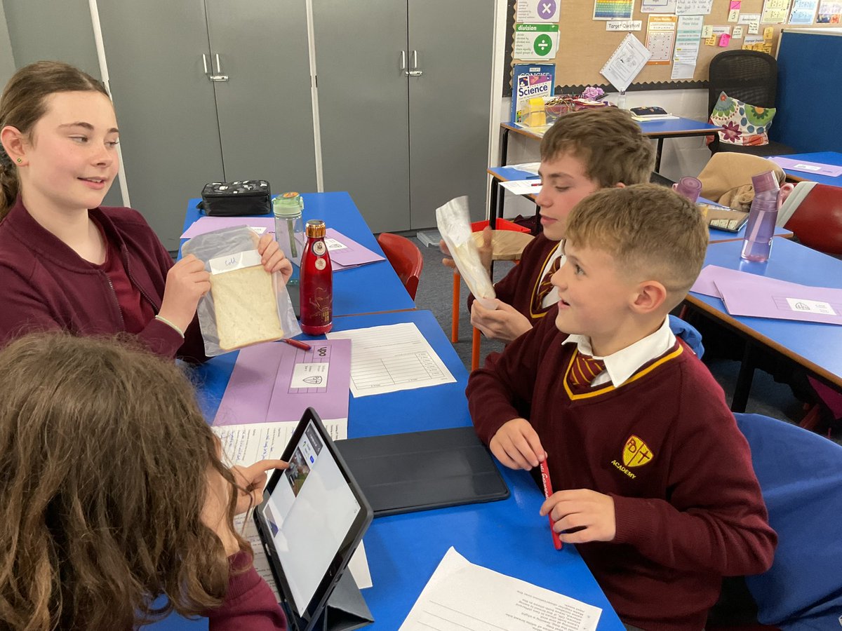 PDA_Y6's tweet image. We planned our own experiment to investigate the impact of different conditions on mould growth. We have bagged up bread in various locations around our school and eagerly examine it for mould growth daily! #pdascience