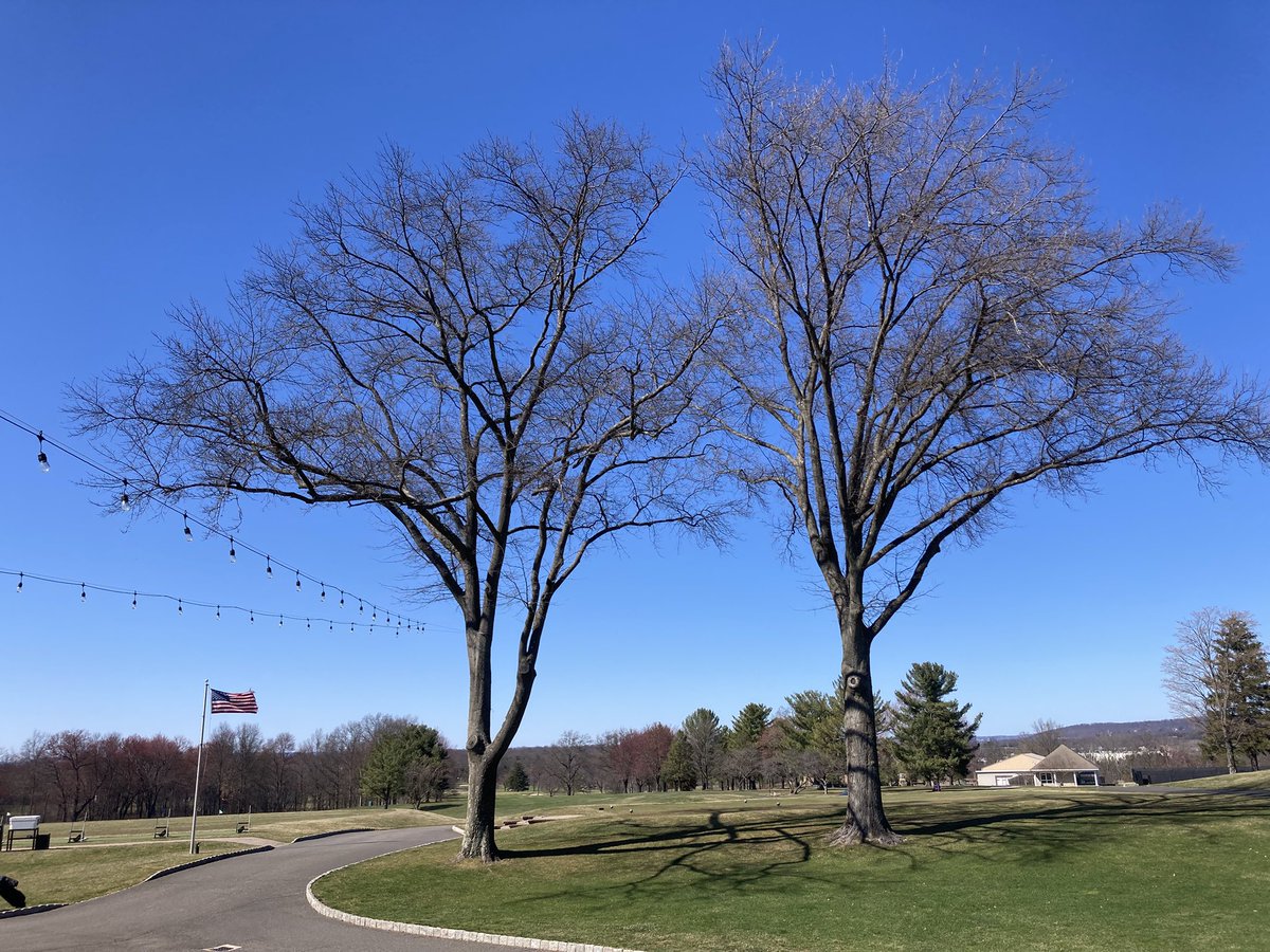 Good afternoon from the Raritan Valley Country Club!! Checking in to see today’s girls’ #NJGolf matchup between <a href="/BRHSPanthers/">BR Athletics</a> and <a href="/HCRHSAthletics/">HCRHS Athletics</a>.

<a href="/TheBReezeTAP/">TheBReeze TAP</a> <a href="/FlemRarTAP/">Fleming. Raritan TAP</a> <a href="/loumonaco/">Sweet Lou Monaco</a> <a href="/BRRSDComm/">BRRSD Communications</a>