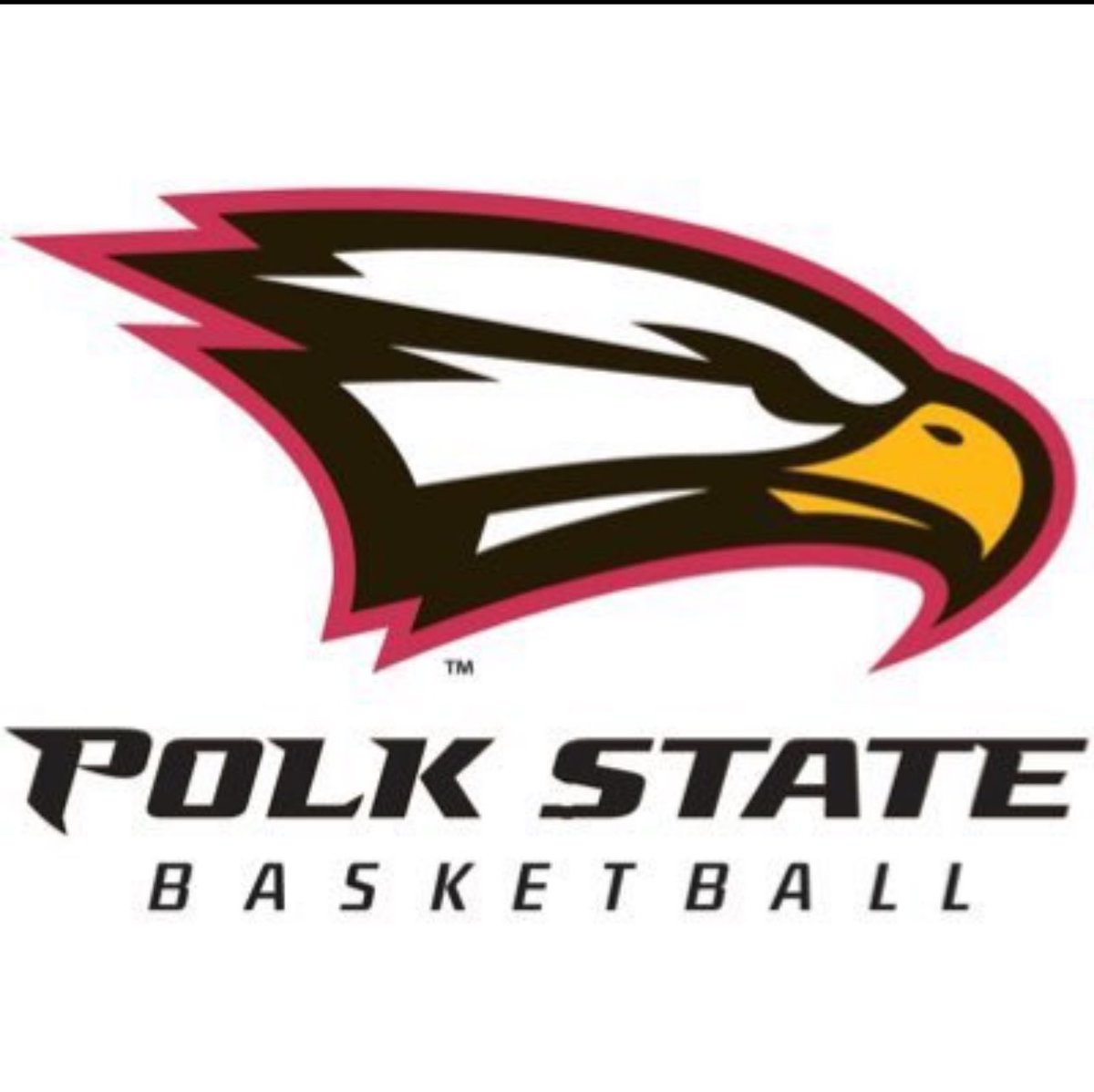 Blessed to receive this offer from Polk state! #AGTG