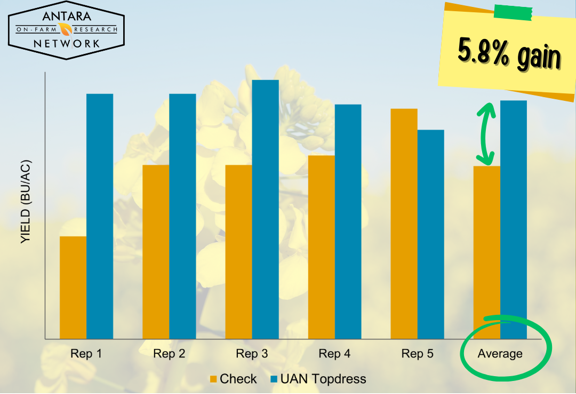 Last season, we tested the impact of a UAN top-dress applied pre-bolt in canola, the results spoke for themselves! Our research showed a statistically significant increase in canola yield when UAN was applied at this stage.
#OnFarmResearch #Canola #Agronomy #AntaraResearch