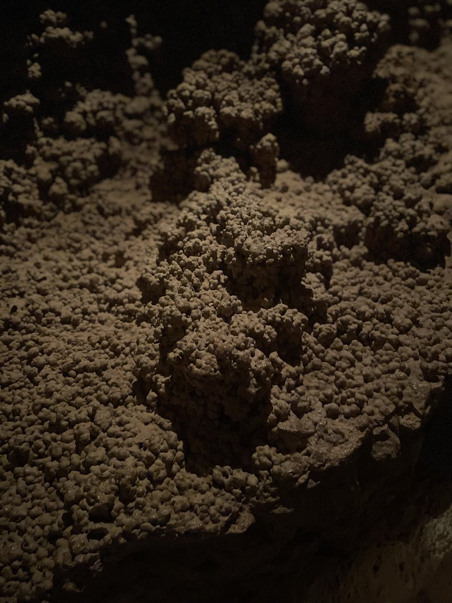 Y⬡ung Asthma tweet media