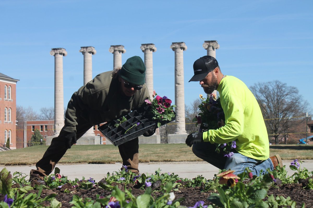 MIJA Journalism tweet media