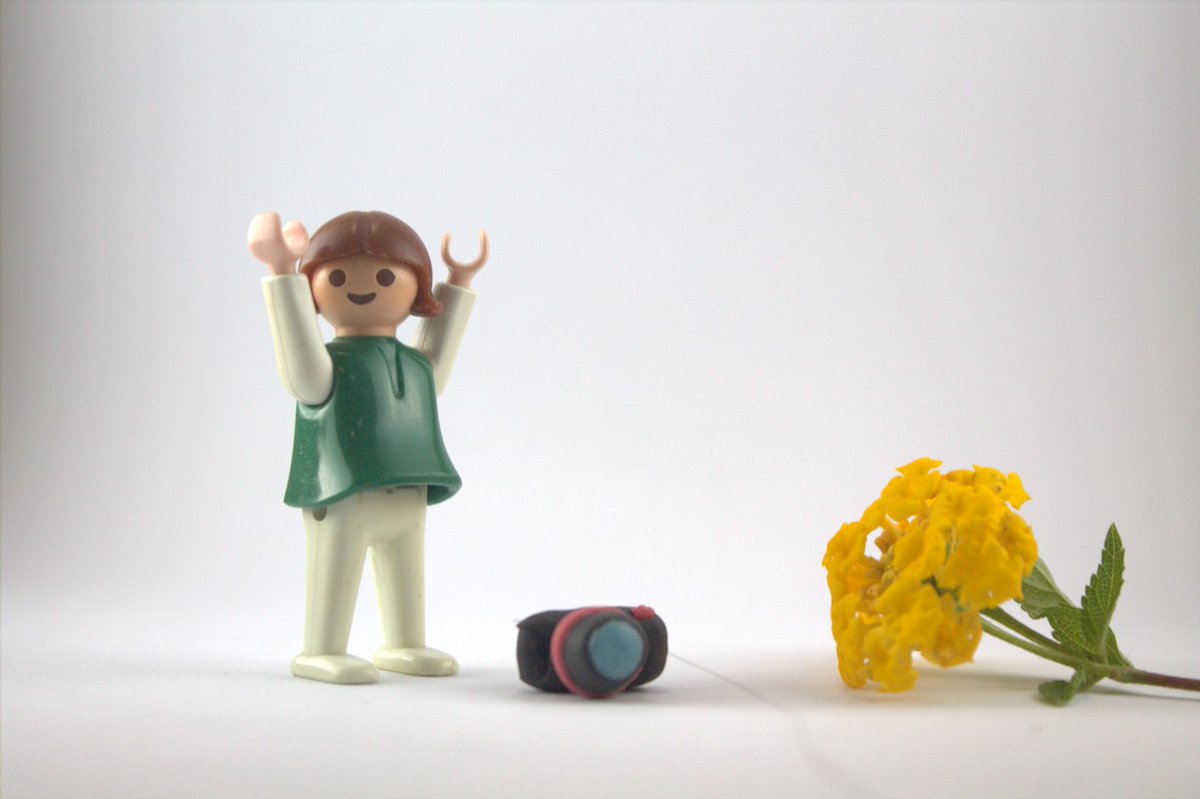 Chiara Angelina Catalini tweet media