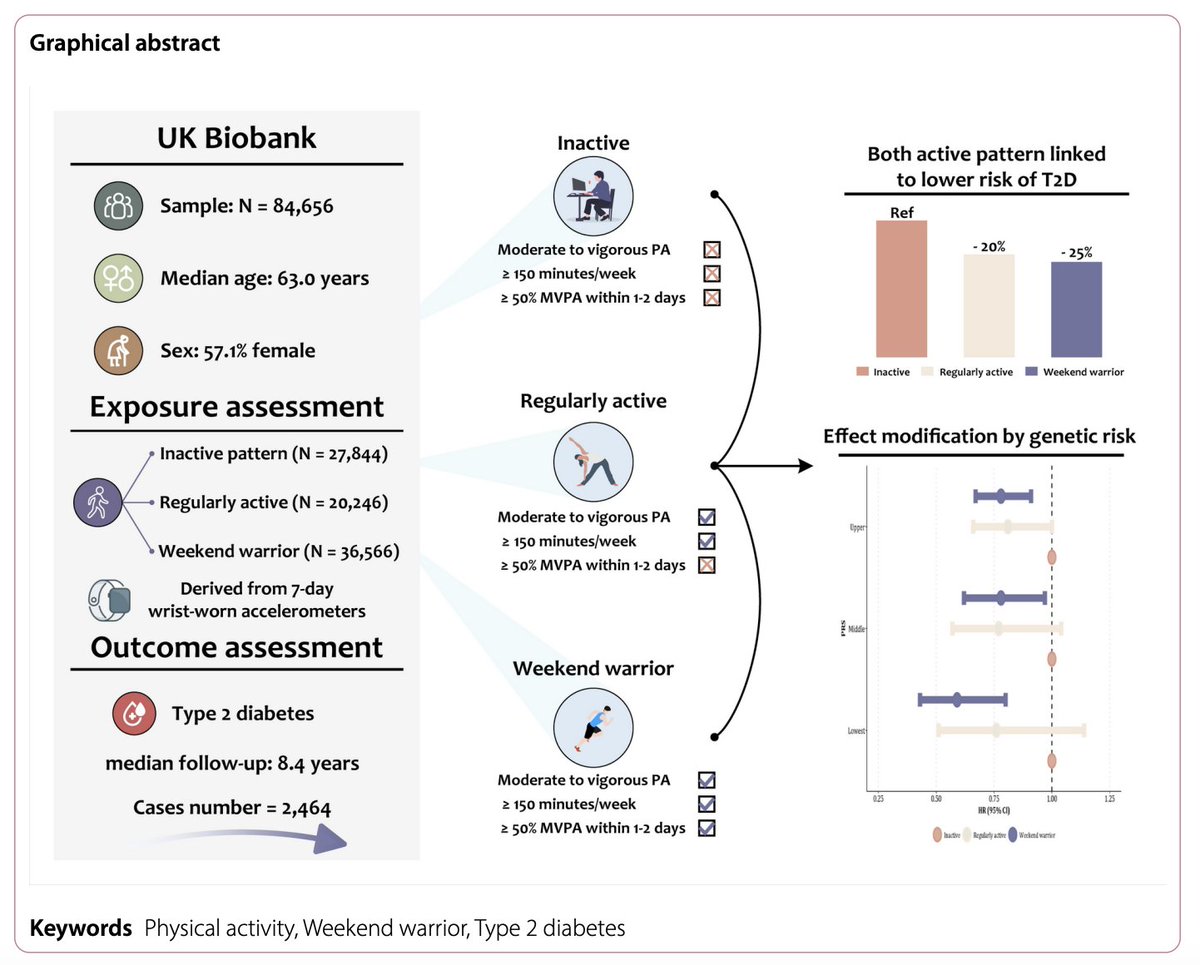 👥84,656 individuals from the UK Biobank w/ validated accelerometry data and no T2DM were included. 

🤸‍♂️Data on physical activity (PA) was collected using the Axivity AX3 wrist-based triaxial accelerometer worn for  1week. Participants were categorized into 3 PA patterns: 
-