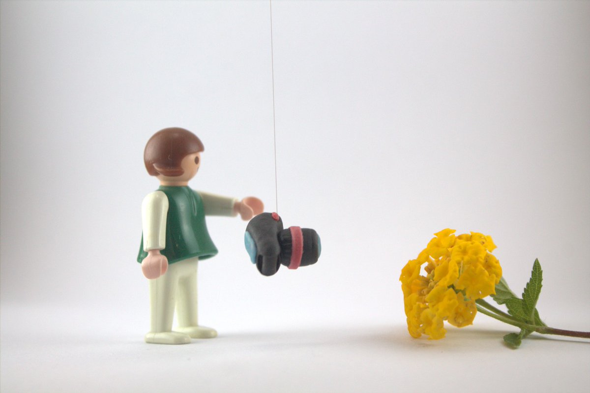 Chiara Angelina Catalini tweet media