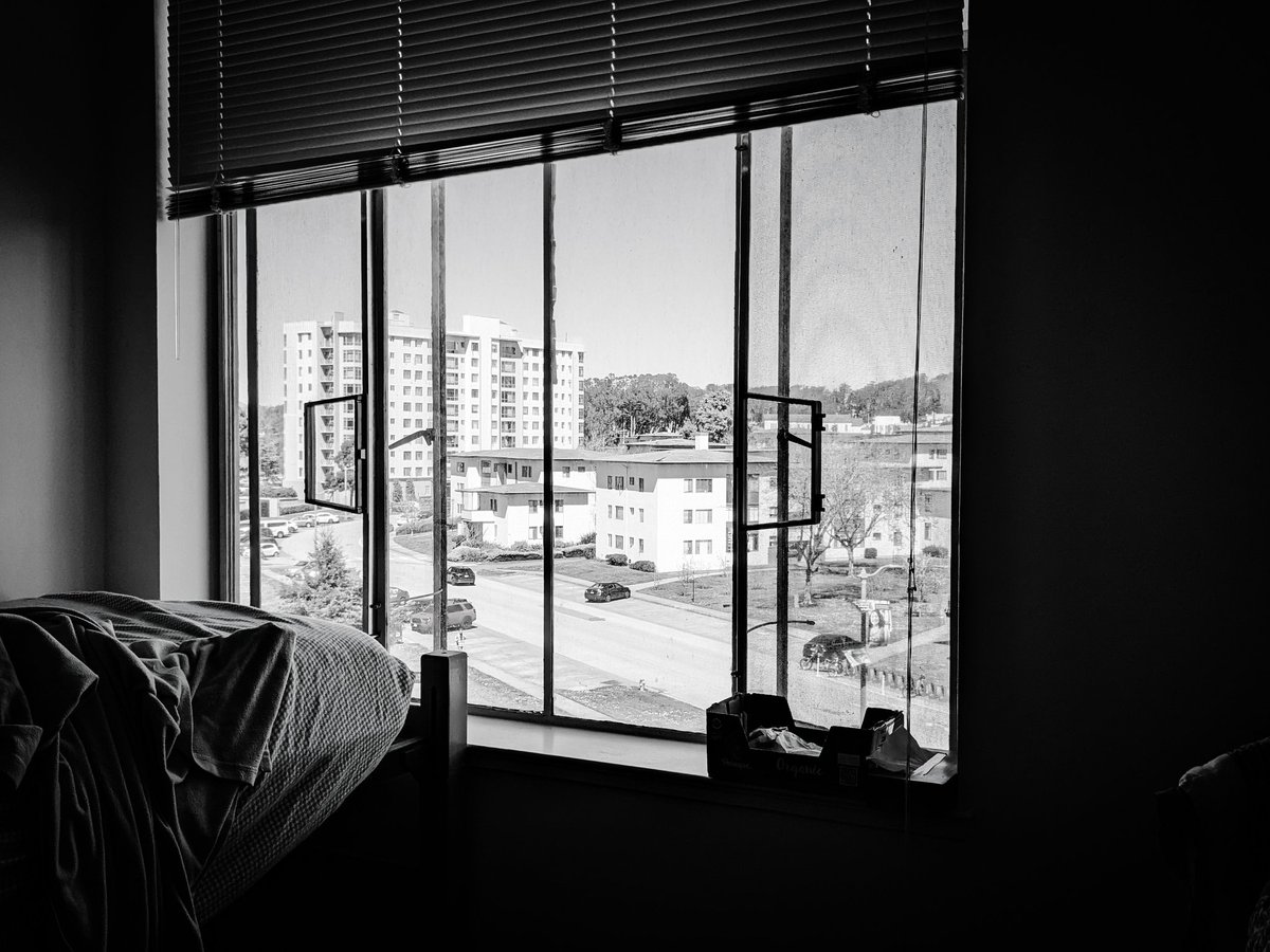 WalrusNo's tweet image. 