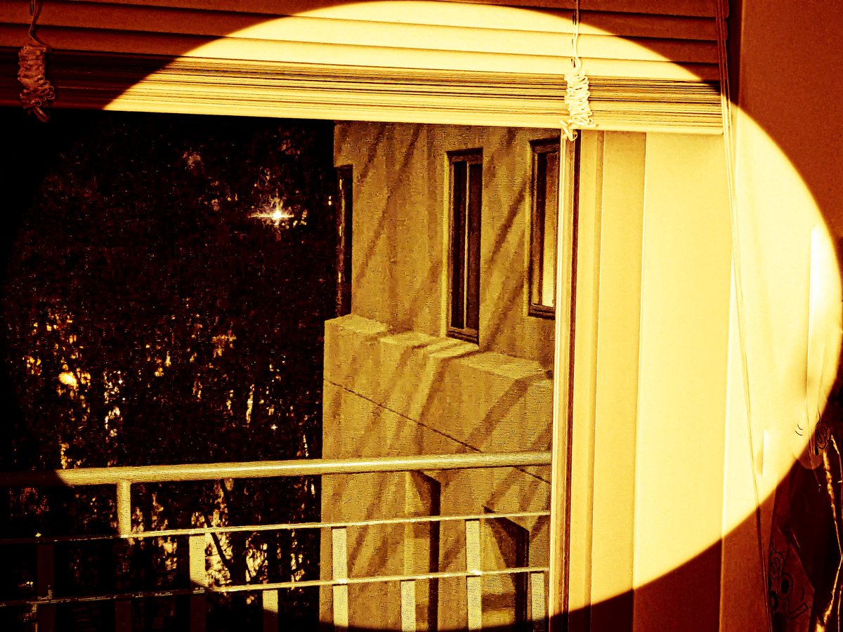 WalrusNo's tweet image. 