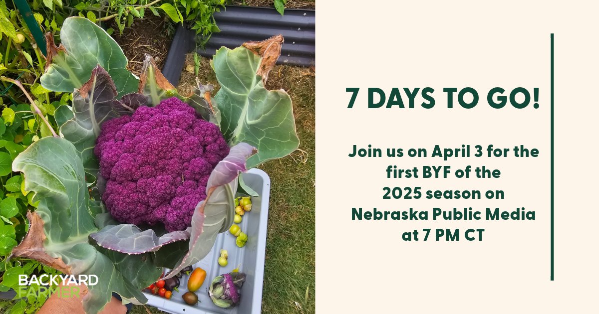 What is happening in 7 days? <a href="/BYFUNL/">Backyard Farmer</a> is back!