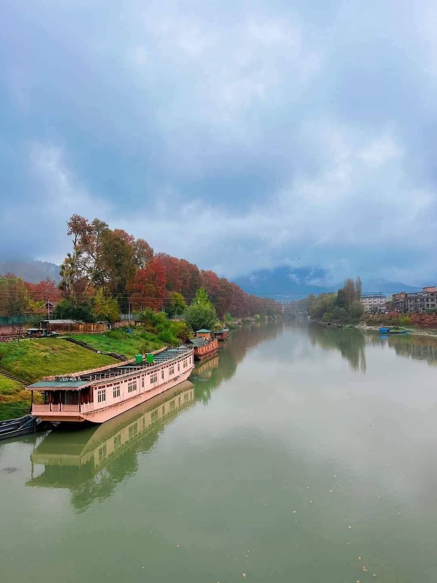 TanuBaig's tweet photo. Rajbagh Srinagar Kashmir
#rajbagsgr #Kashmir https://t.co/rJYQIg0RqQ