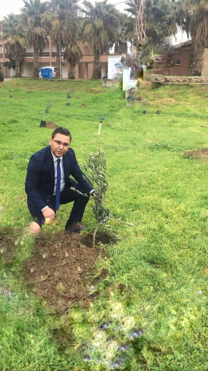 Bir ağaç bir gelecek