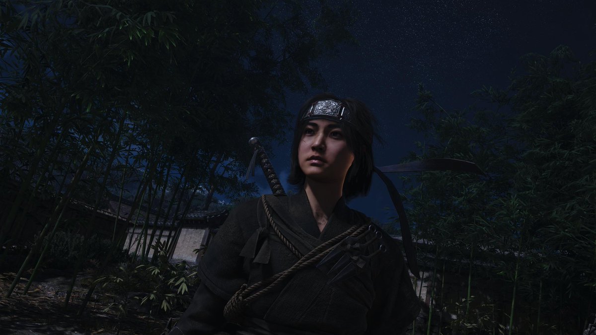 #AssassinsCreedShadows 
#ingamecapture