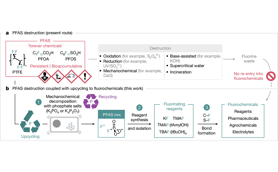 A paper in <a href="/Nature/">nature</a> presents a method for breaking down perfluoroalkyl and polyfluoroalkyl substances (PFASs), environmental contaminants known as ‘forever chemicals,’ while recycling the fluoride contained within them. go.nature.com/3Raogjb