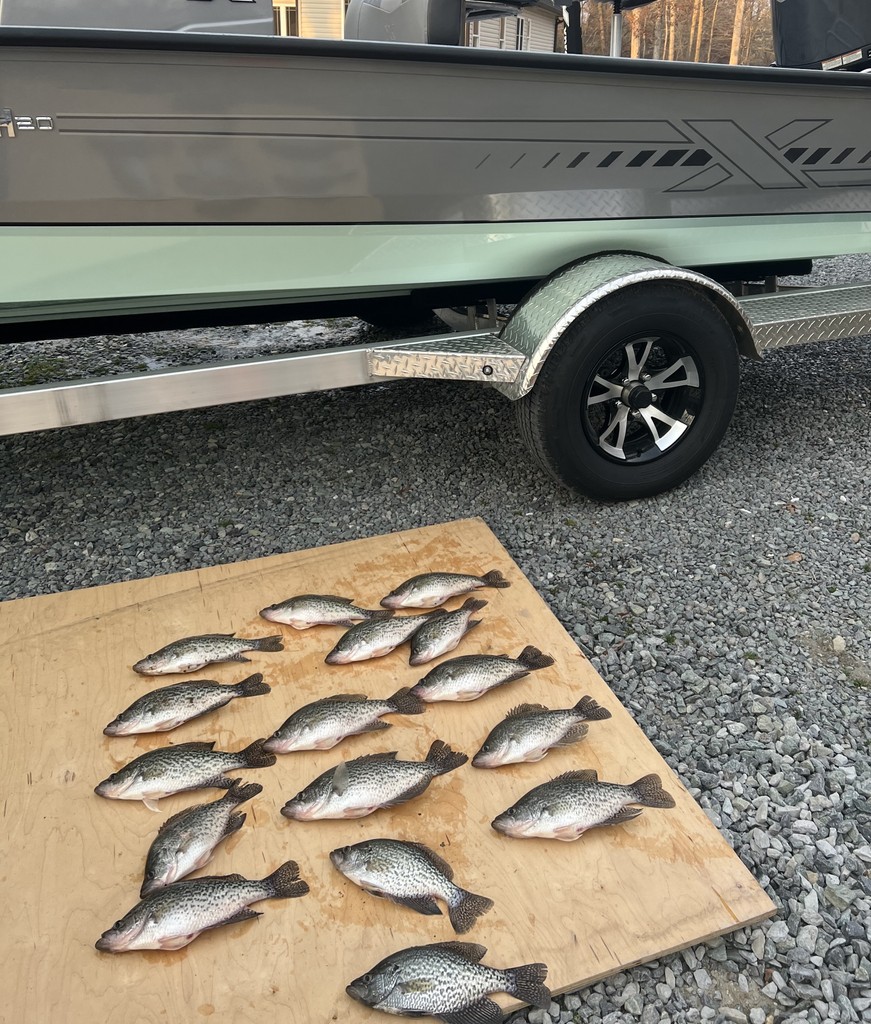 chatleeboats's tweet photo. Nothing makes us happier than seeing families create memories on their new boats! 🚤❤️ A huge shoutout to the McDaniel Family who sent in their awesome photos! 
#xpressboats #yamahaoutboards #original #bassboat #bayboat #fishing #lakelife #saltlife https://t.co/bSbZWrOUOB