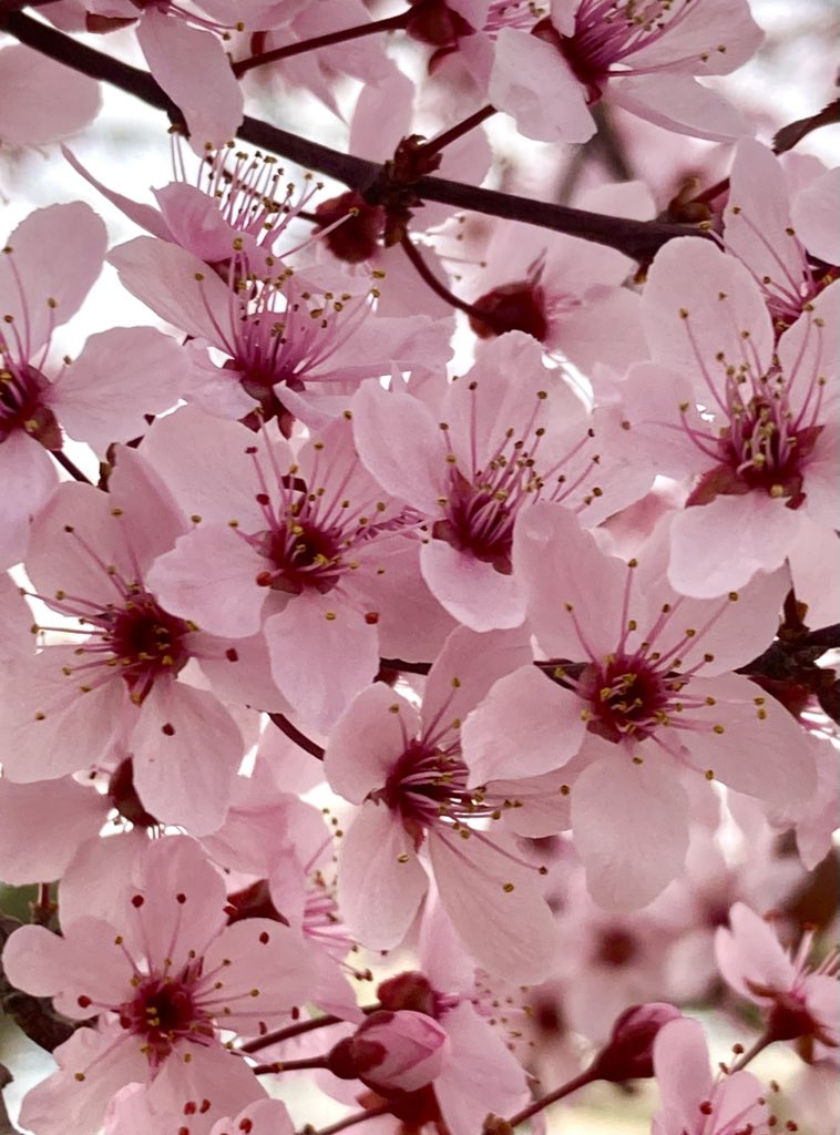 Have a blessed Friday 🌏