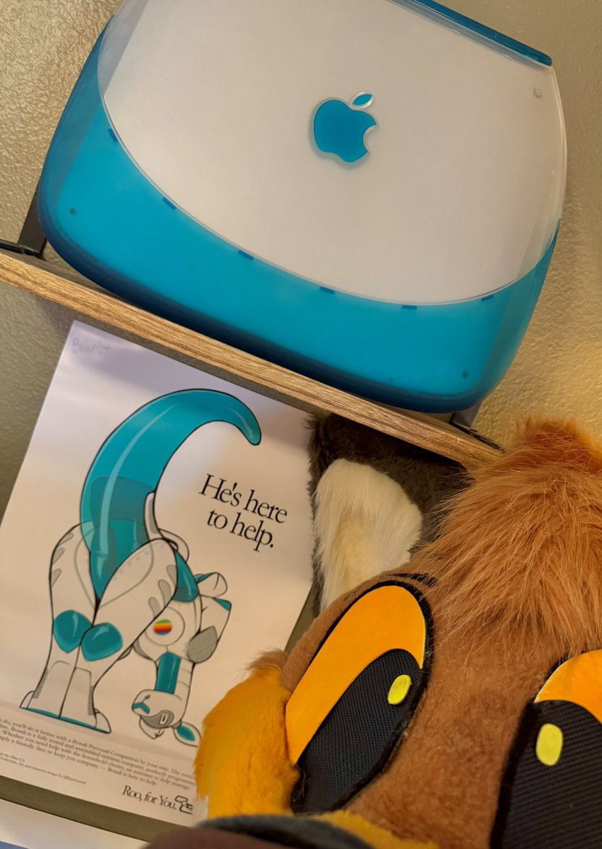 Just nerd things 🦊