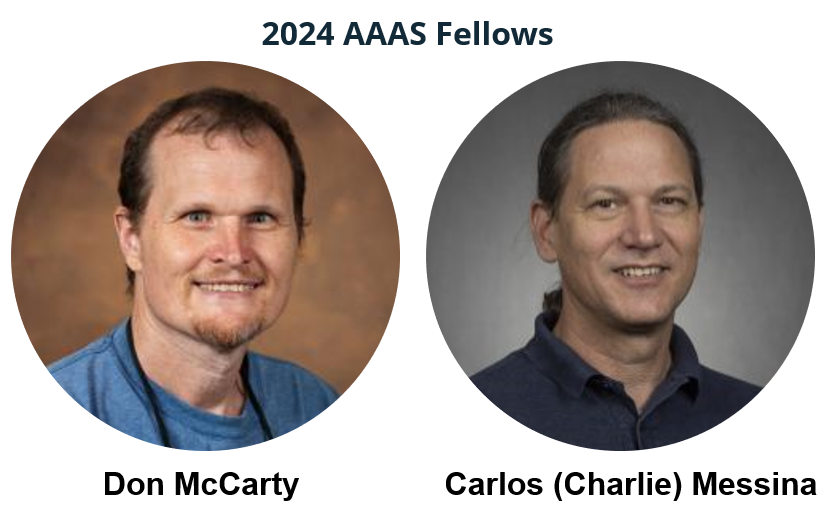 Congratulations to 2 outstanding <a href="/ufhorticulture/">UF/IFAS Horticultural Sciences</a>  <a href="/UF_IFAS/">UF IFAS Solutions</a> colleagues on their 2024 election to AAAS!
🌽🌽🌽🌽🌽🌽🌽🌽🌽🌽🌽🌽🌽🌽
aaas.org/programs/fello…