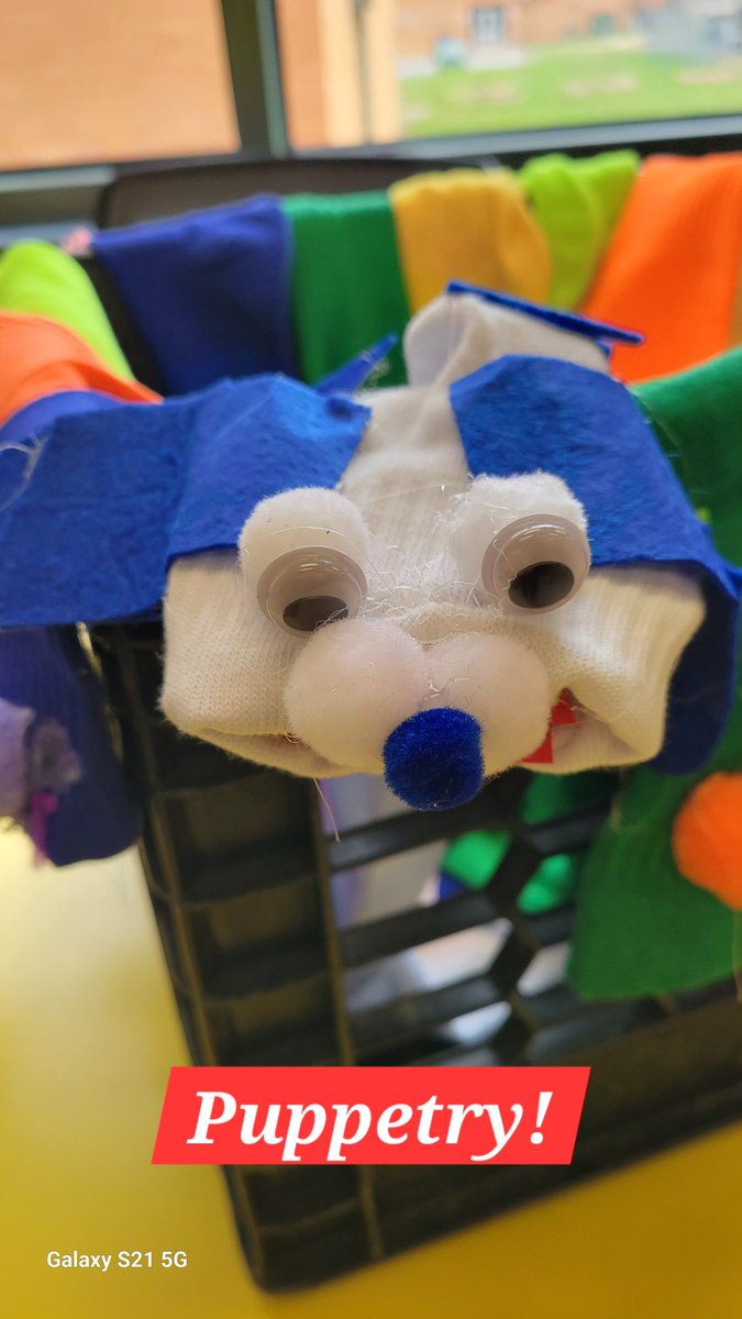 Michelle Pohl tweet media