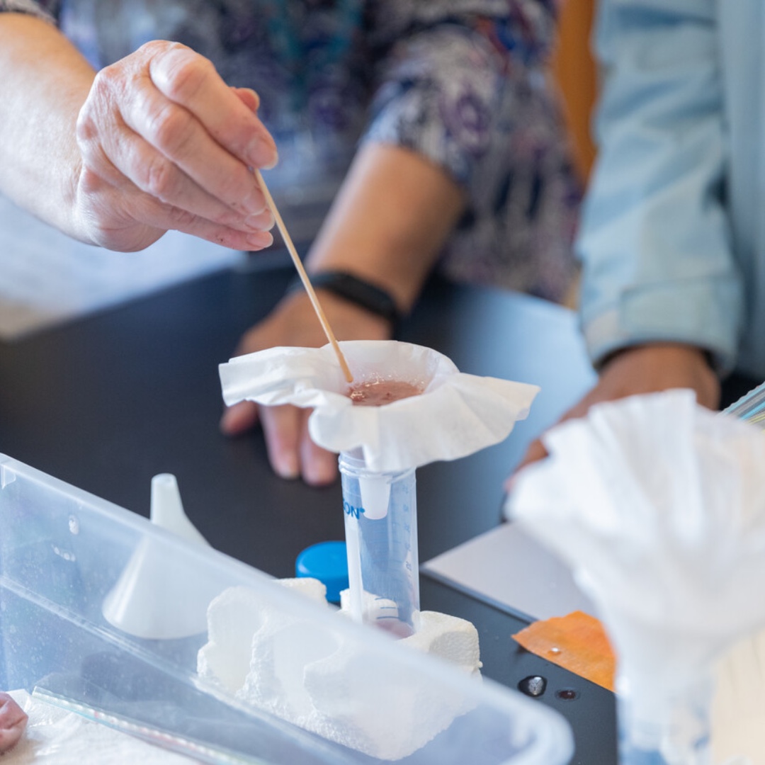 Discover the wonders of science and technology at the Rowan-Cabarrus STEM Open House on Thursday, April 3 from 5 to 7 p.m. at NCRC. This free event is part of the North Carolina Science Festival and is open to the community. Learn more at rccc.edu/STEM.