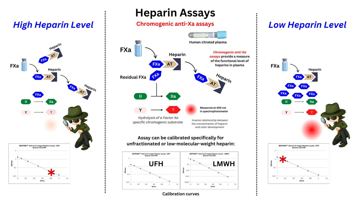 William Aird tweet media