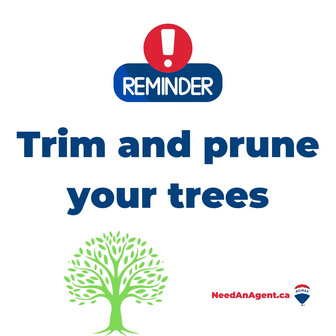 Don’t forget—early spring is prime time to trim and prune your trees! Why?

✅ Boost curb appeal
✅ Prevent roof damage from overhanging branches
✅ Reduce the risk of costly storm cleanup