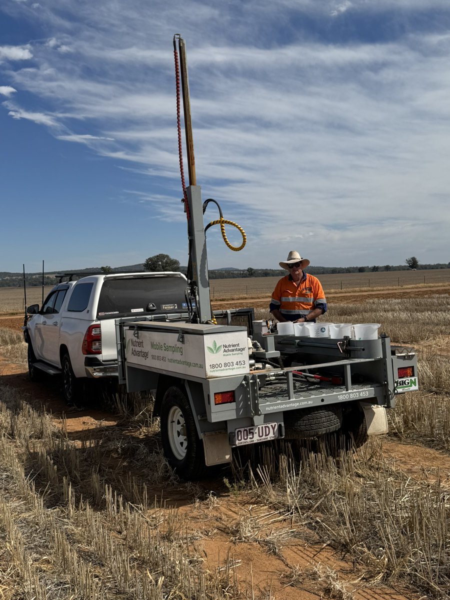 Last day for the Incitec Pivot Fertilisers Long Term  Nitrogen X Phosphorus Trial established in 2007. 🥲