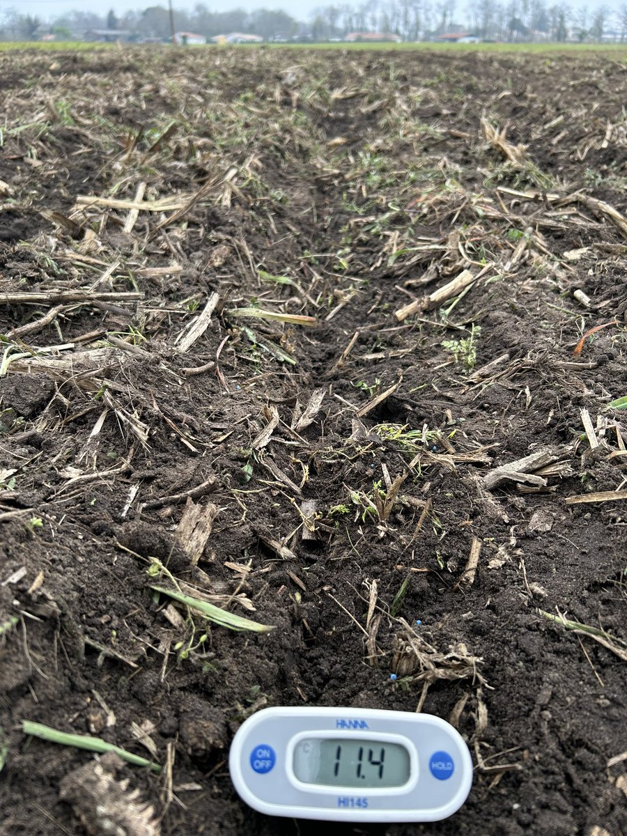 Températures  identiques 🌡️ prises dans le sillon, dans le couvert végétal 🌱 et dans les bordures travaillées (decompactage + herse car passage des remorques à la récolte) : 11.5 degrés fin mars #sem’expert <a href="/PioneerSeeds/">Pioneer Seeds U.S.</a>