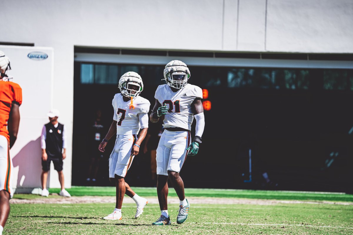Year 4