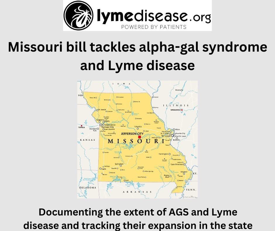 If you are a Missourian affected by AGS and/or Lyme disease, here's how to contact your state representative now to help pass HB 986. lymedisease.org/missouri-bill-…