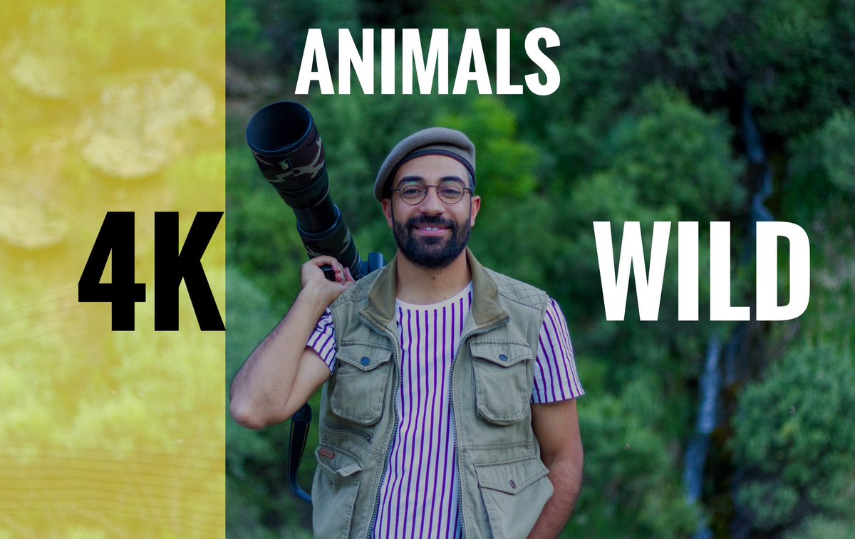 Ji bo dîmenên xweza û welatê me bibin aboneyê qanala min⬇️

linktw.in/qFjnMH (bitikînin)