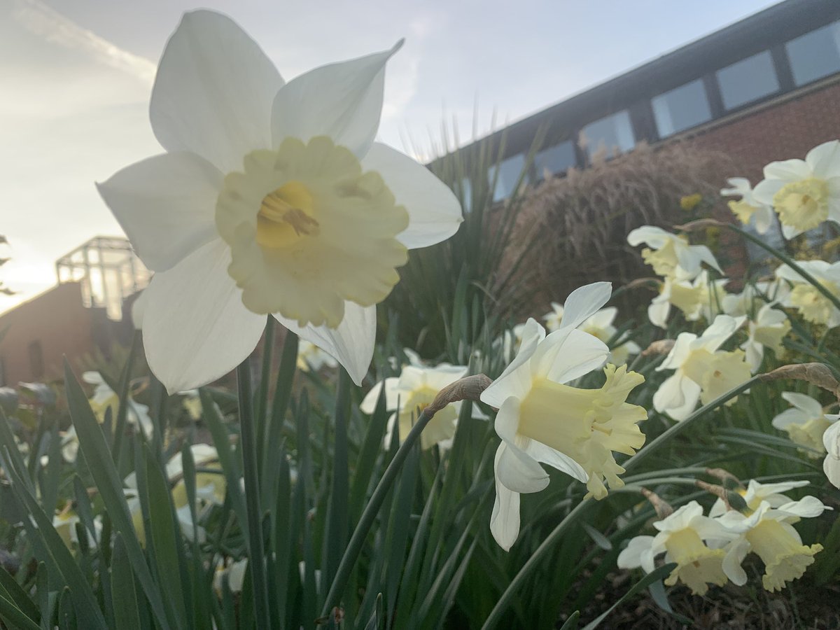 Lipodystrophy UK tweet media