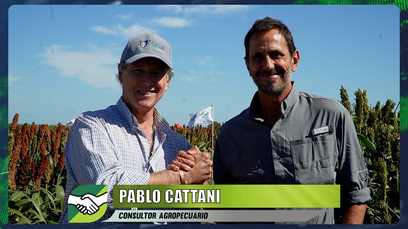 agrositio's tweet image. Manejo de recursos Forrajeros, y conservación óptima de Reservas; con Pablo Cattani - agrónomo
#pasturas #forrajes #reservas 

agrositio.com.ar/canal-agrositi…