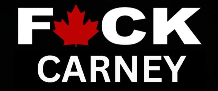 🇨🇦 Jaye Bird tweet media