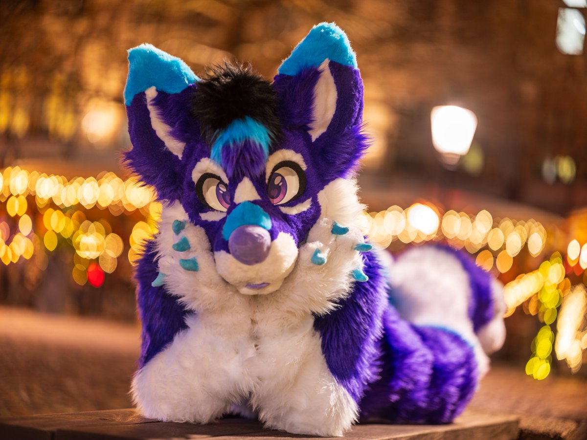 Sandoraptor π³π΄ π Furnavia (@sandoraptor) on Twitter photo yems :3
Happy #FursuitFriday!
π· <a href="/CaptainChaotika/">π» ζ··ζ²ηιι· β‘οΈ TFF, AC, EF</a>
π§΅ <a href="/AltaWoof/">Alta!! π Pawske, MFF</a>
π #NFC25 yems :3
Happy #FursuitFriday!
π· <a href="/CaptainChaotika/">π» ζ··ζ²ηιι· β‘οΈ TFF, AC, EF</a>
π§΅ <a href="/AltaWoof/">Alta!! π Pawske, MFF</a>
π #NFC25