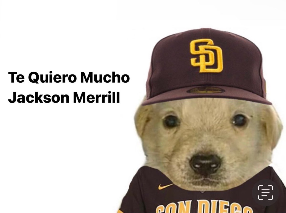 Nestor (@chancho_sd) on Twitter photo 