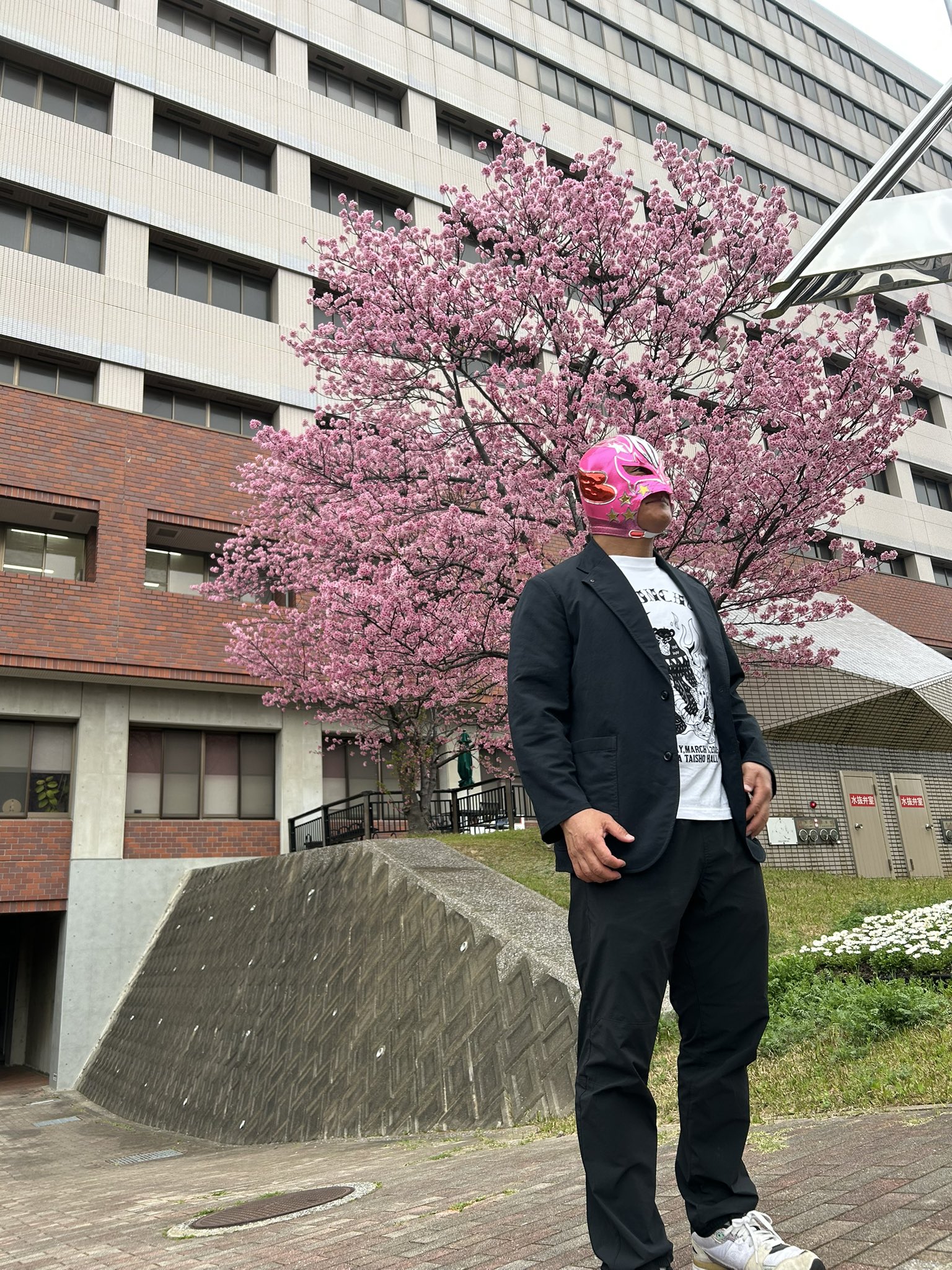 めんたい☆キッド MENTAI☆KID on X: 