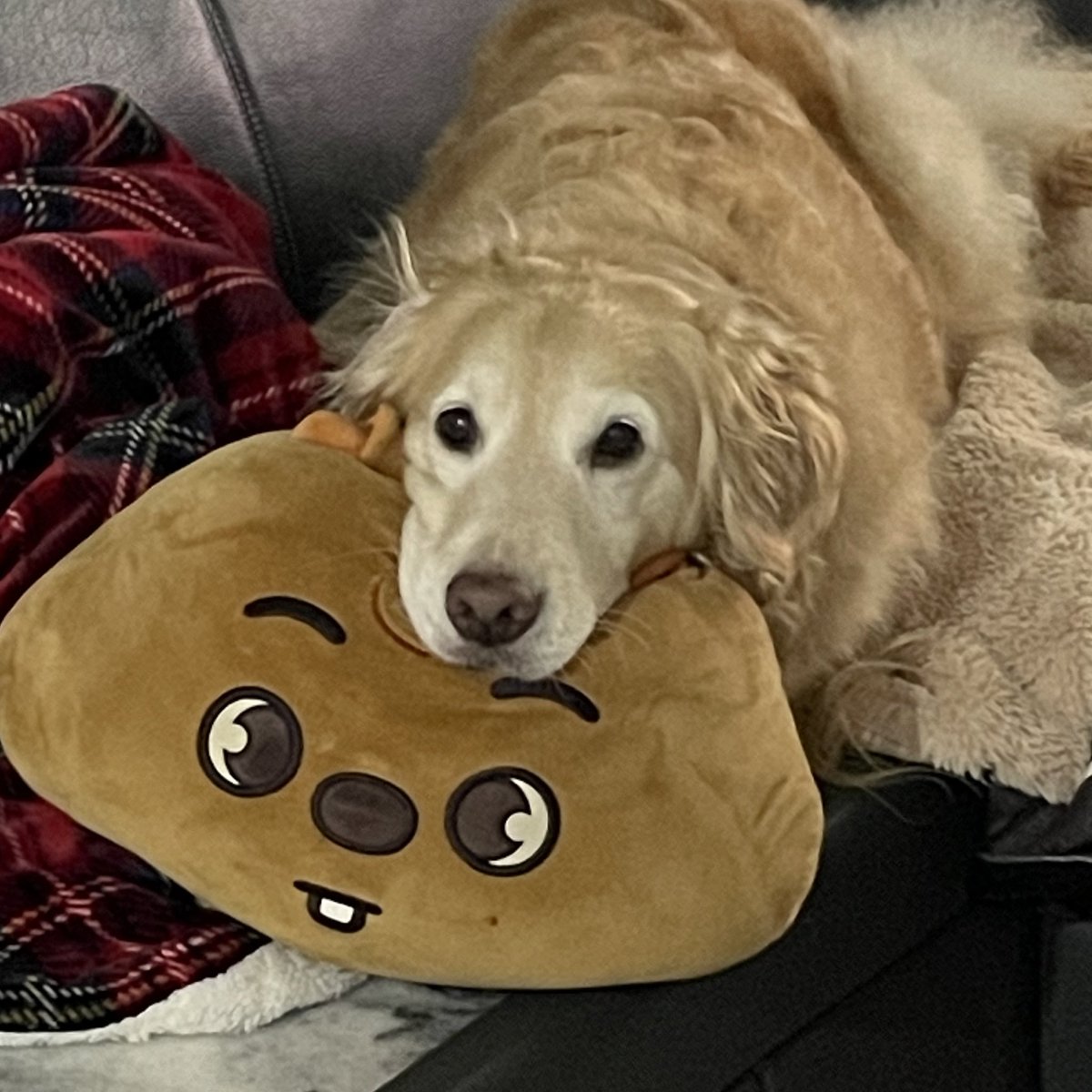 ruby_sm_'s tweet image. 😉