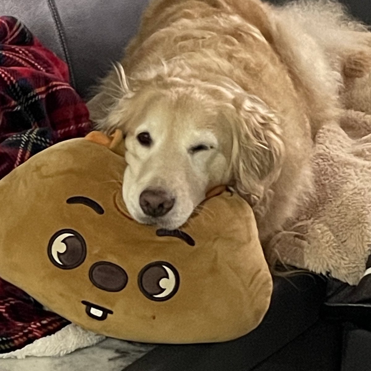 ruby_sm_'s tweet image. 😉