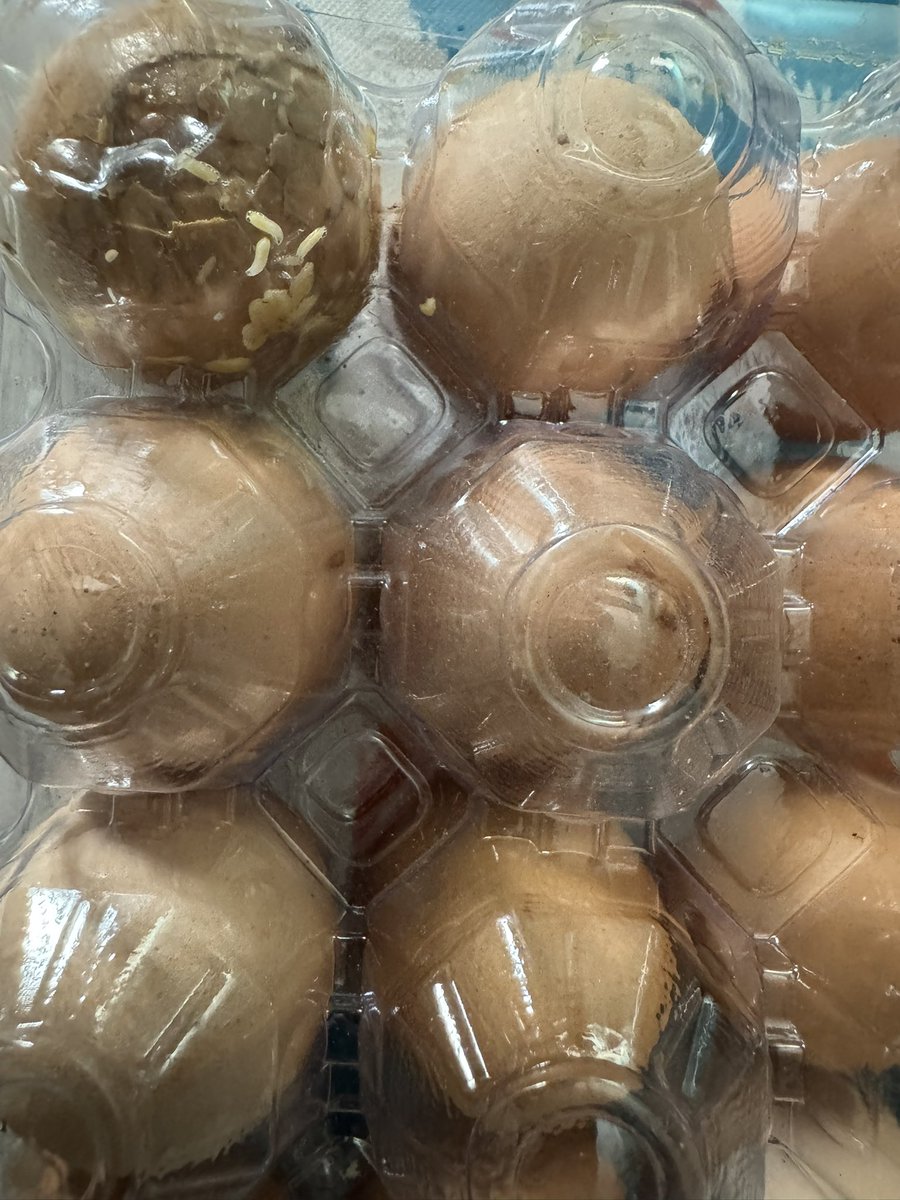 doctroshan's tweet photo. @Milkbasketin delivers rotten eggs with worms crawling over them and customer care executive says that they don’t have call facility to speak to the customer, appalling service and quality standards https://t.co/f6Bpg4qHaP