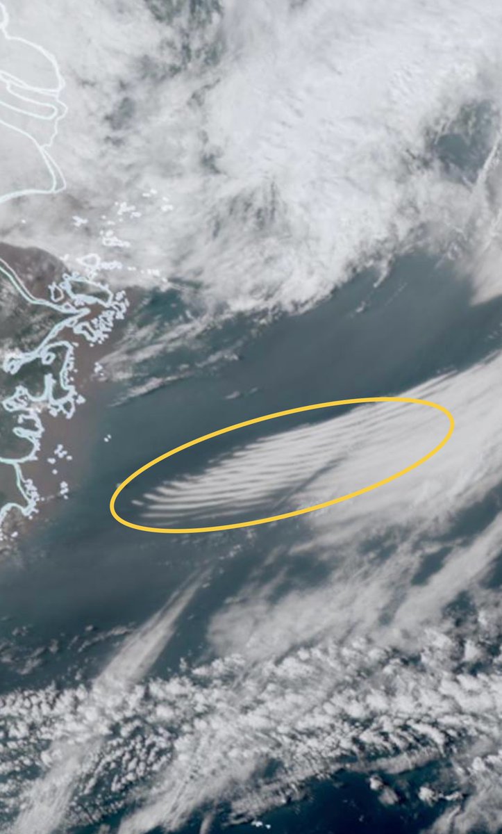 wcs_freeman's tweet photo. The "Stratocumulus volutus" over the East China Sea yesterday was rare to see such an obvious and complete roll cloud. It was caused by very shallow cold air lifting up warm air. https://t.co/jBEhXqDoB0