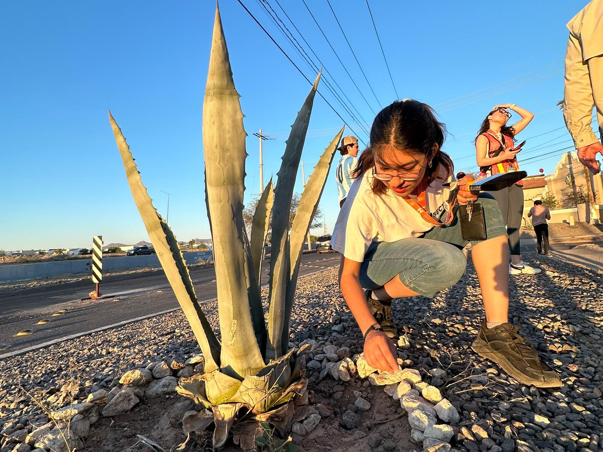 En Villa Bonita, el equipo de <a href="/Juventud_HMO/">Instituto Hermosillense de la Juventud</a> demuestra que no se trata de obligación, sino de amor por su ciudad. 🙌🏻

La participación de los jóvenes es muy importante, tomemos su ejemplo y #QueSeNote el trabajo en equipo para tener un Hermosillo más limpio. 💪🏻 <a href="/f_villaescusa/">F Villaescusa</a>