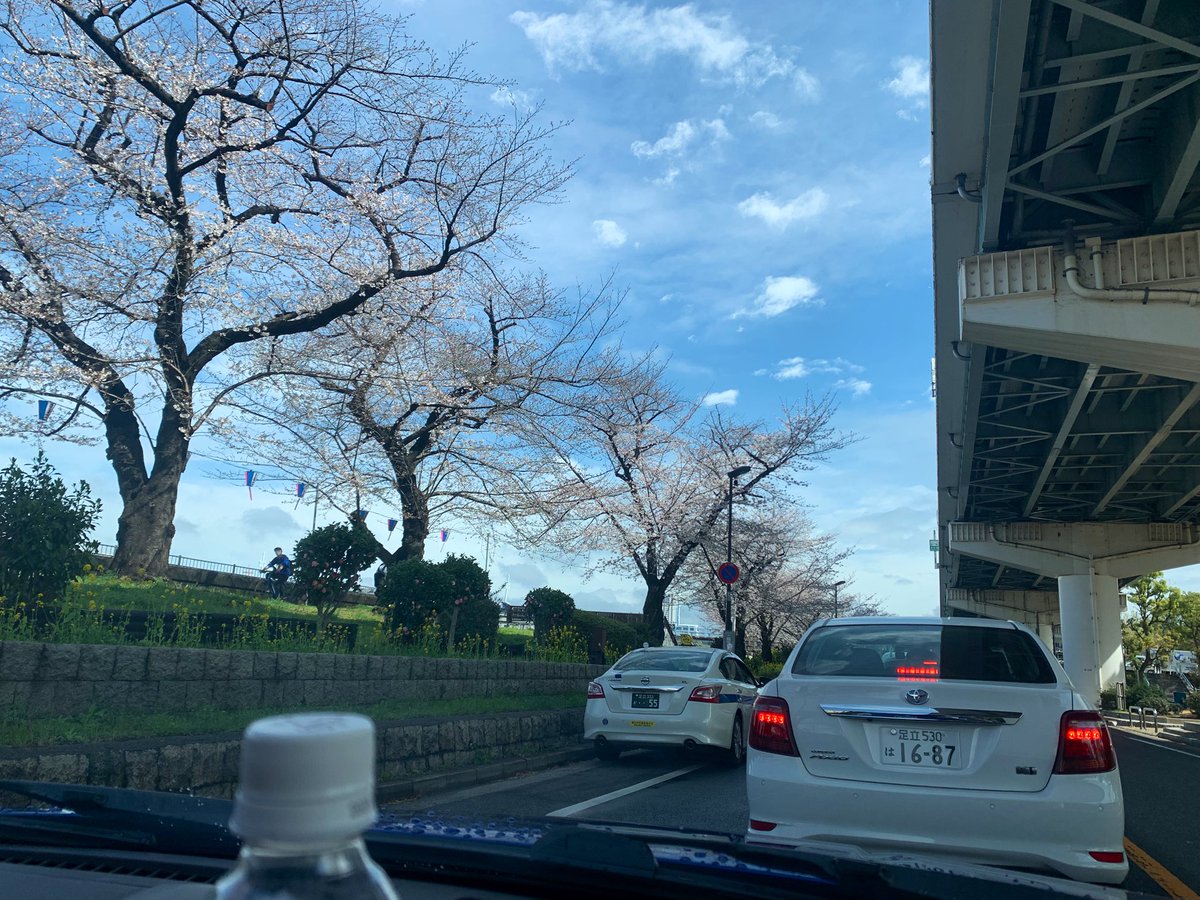 CHIAKI_0901's tweet photo. 隅田も咲いてきたね🌸仕事終わるの早すぎ👍 https://t.co/YJmrd4wlIl